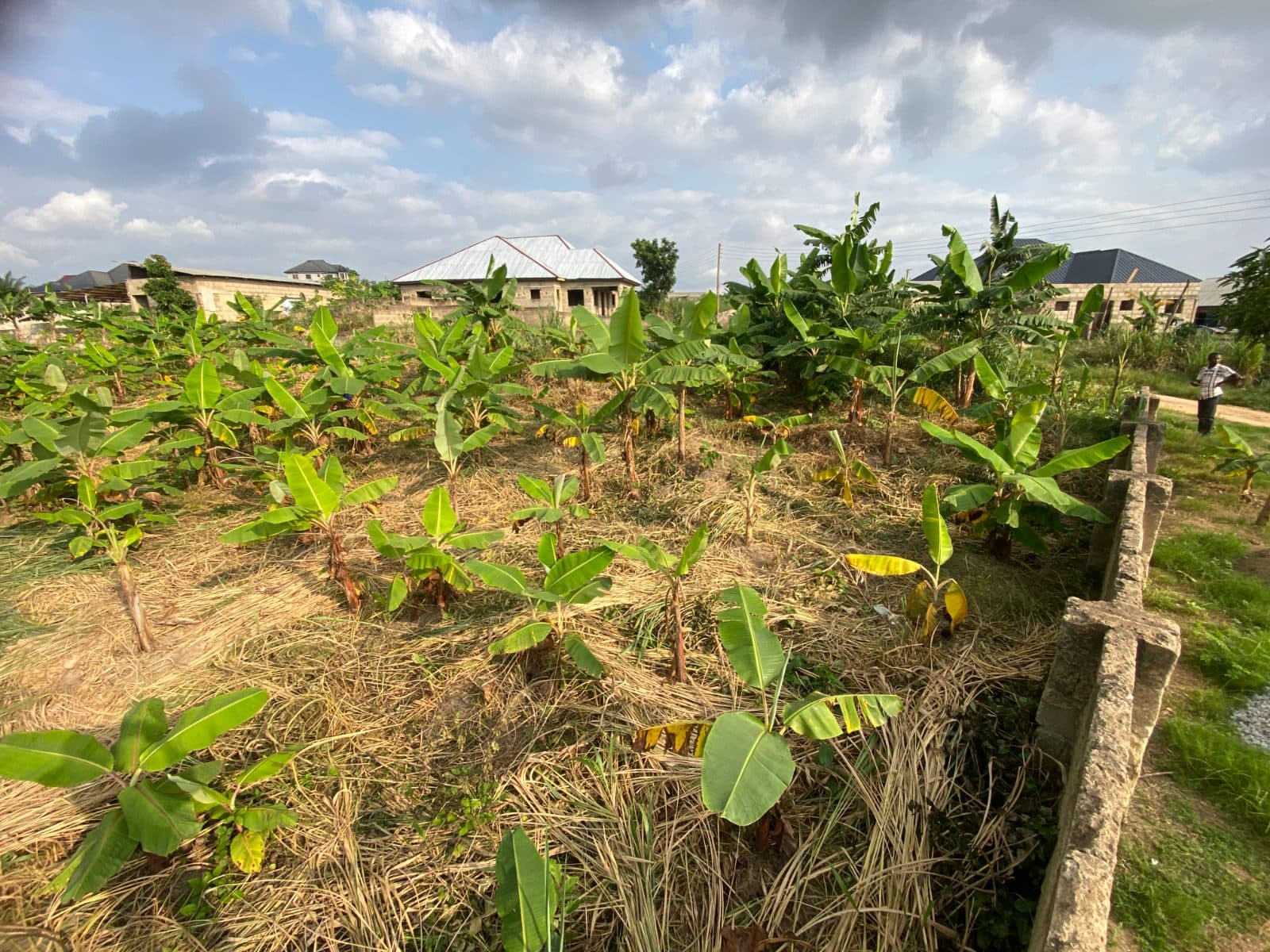 2 Plots Land at Adubinsu